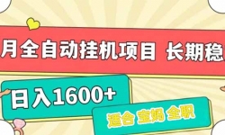 （15319期）7月最新全自动挂机项目日入1600+长期稳定收益