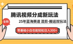 16796ڣѶƵֳɼƻ½̳̣25˫淨СҲ300+