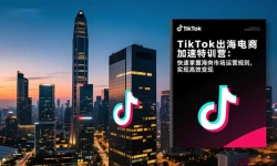 ��17442�ڣ�TikTok�������̼�����ѵӪ-���£��������պ����г���Ӫ����ʵ�ָ�Ч����