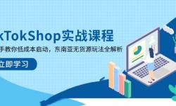 14269ڣTikTokShopʵսγְֽ̣ͳɱ޻Դ淨ȫ