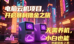 （15323期）电脑云机项目 暴力撸金玩法，不需要养机 配置没有要求 单机100个窗口一...