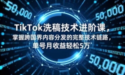 16693ڣTikTokϴ弼׿Σտݷַ·5