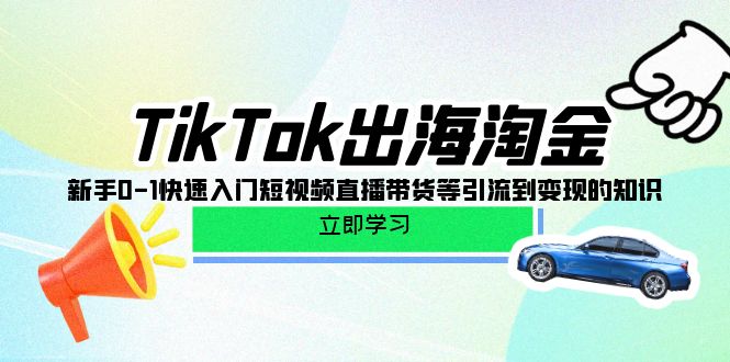 TikTok-出海淘金，新手0-1快速入门短视频直播带货等引流到变现的知识-皓收集 | 网创宝典