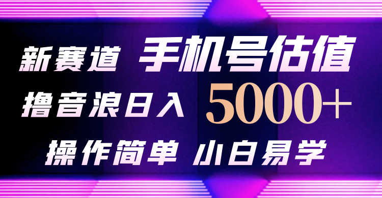 抖音不出境直播【手机号估值】最新撸音浪，日入5000+，简单易学，适合…-皓收集 | 网创宝典