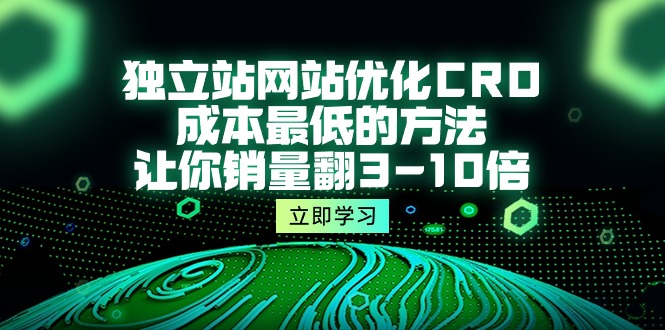 独立站网站优化CRO，成本最低的方法，让你销量翻3-10倍（5节课）-皓收集 | 网创宝典