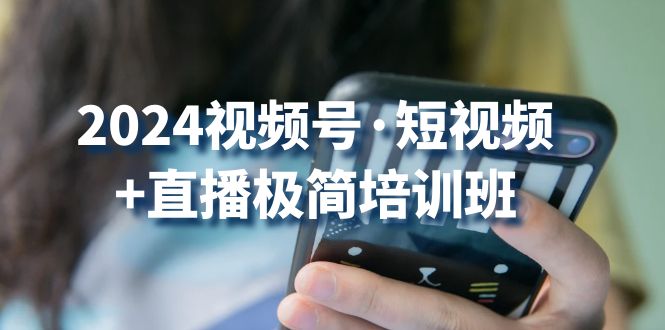 2024视频号·短视频+直播极简培训班：抓住视频号风口，流量红利-皓收集 | 网创宝典