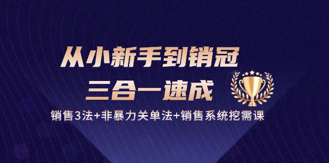 从小新手到销冠 三合一速成：销售3法+非暴力关单法+销售系统挖需课 (27节)-皓收集 | 网创宝典