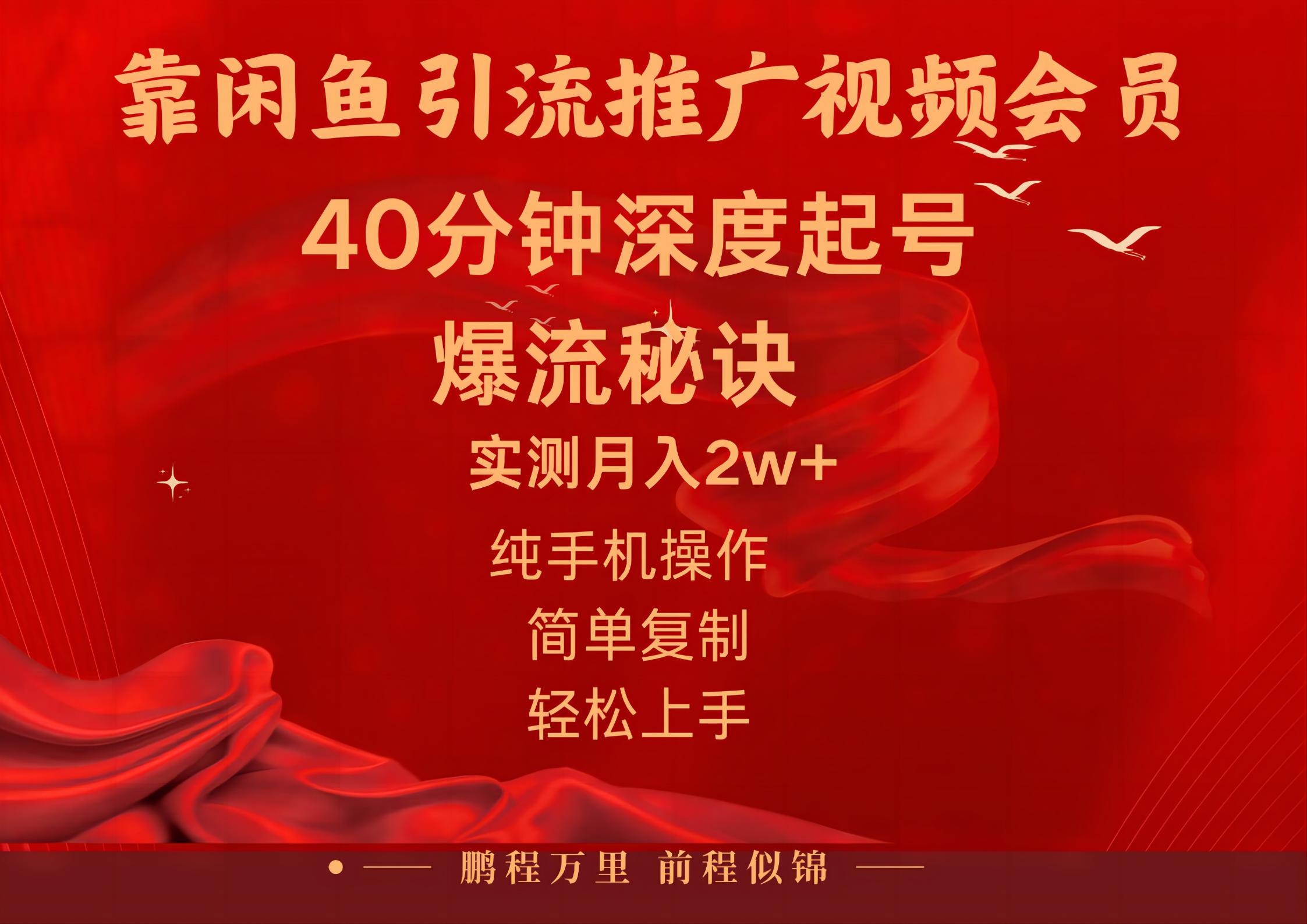 闲鱼暴力引流推广视频会员，能做到日入2W+，操作简单-951博客