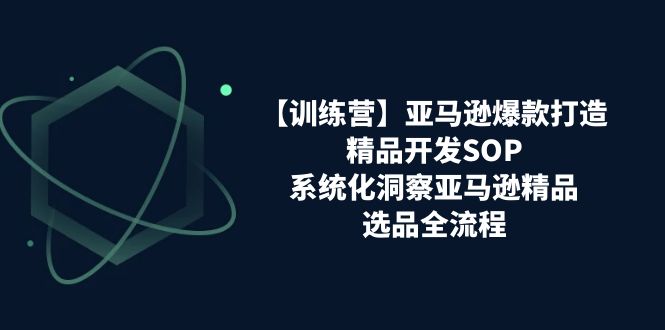 【训练营】亚马逊爆款打造之精品开发SOP，系统化洞察亚马逊精品选品全流程-皓收集 | 网创宝典