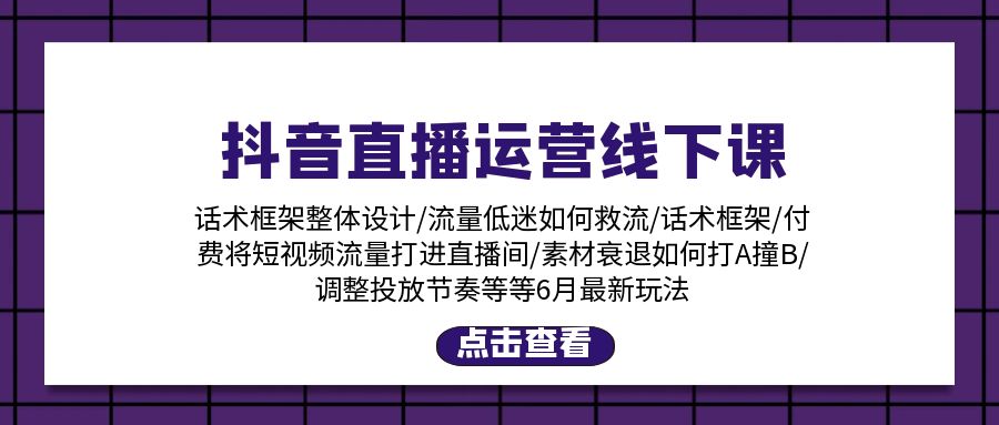 抖音直播运营线下课：话术框架/付费流量直播间/素材A撞B/等6月新玩法-皓收集 | 网创宝典