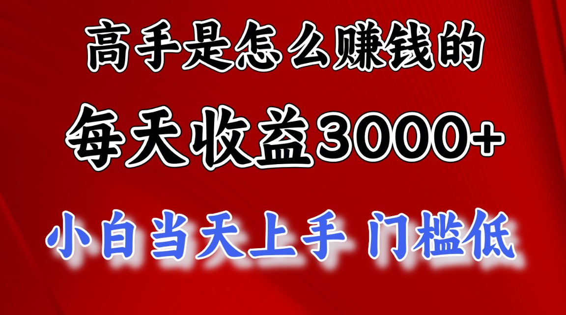 高手是怎么赚钱的，一天收益3000+ 这是穷人逆风翻盘的一个项目，非常…-皓收集 | 网创宝典