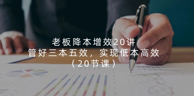 老板 降本增效20讲，管好 三本五效，实现低本高效（20节课）-皓收集 | 网创宝典