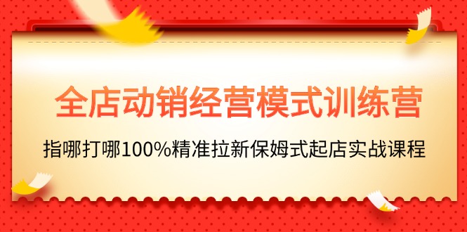 (11460期）全店动销-经营模式训练营，指哪打哪100%精准拉新保姆式起店实战课程-北少网创