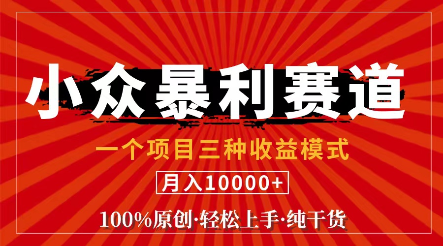 (11695期）视频号【中老年粉深信不疑】小众赛道 100%原创 手把手教学 新号3天收益...-北少网创