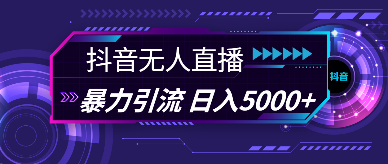 抖音无人直播，暴利引流，日入5000+-皓收集 | 网创宝典