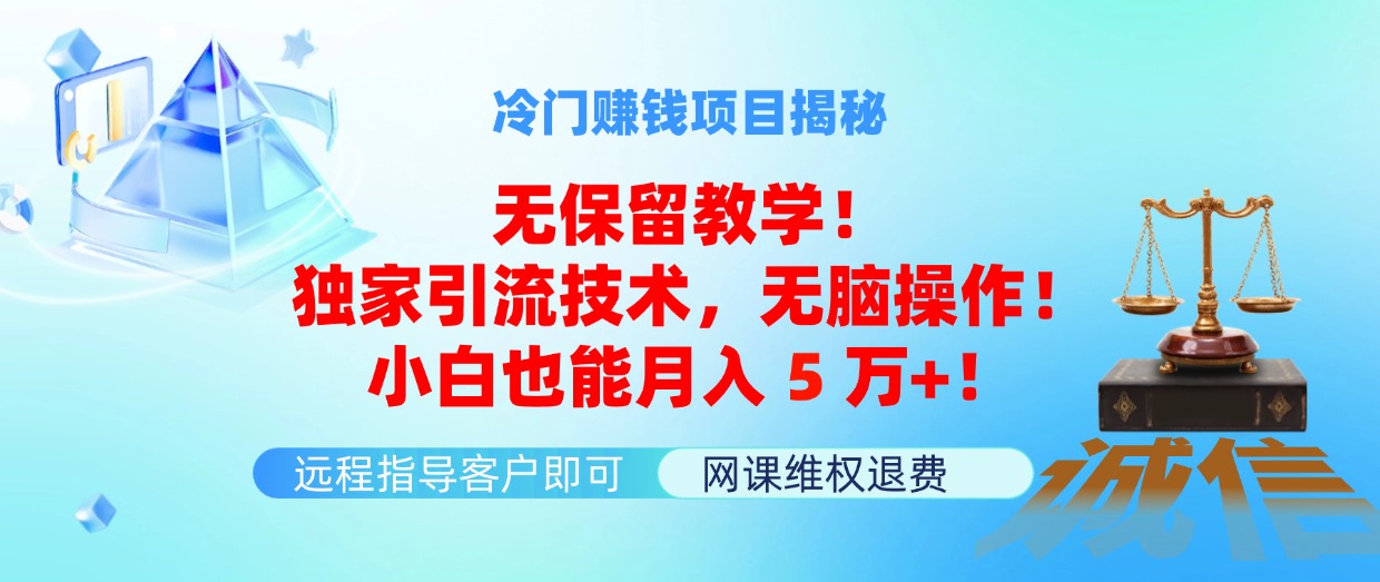 冷门赚钱项目无保留教学！独家引流技术，无脑操作！小白也能月入5万+！-皓收集 | 网创宝典