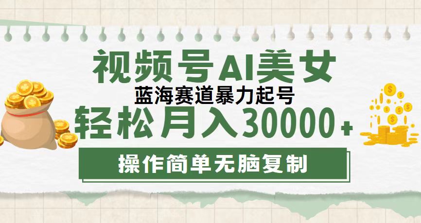 (12087期）视频号AI美女跳舞，轻松月入30000+，蓝海赛道，流量池巨大，起号猛，无...-北少网创