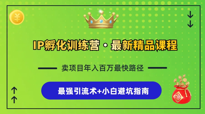 (13055期）IP孵化训练营，知识付费全流程+最强引流术+小白避坑指南-北少网创