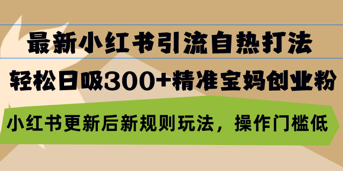 (13145期）最新小红书引流自热打法，轻松日吸300+精准宝妈创业粉，小红书更新后新...-北少网创