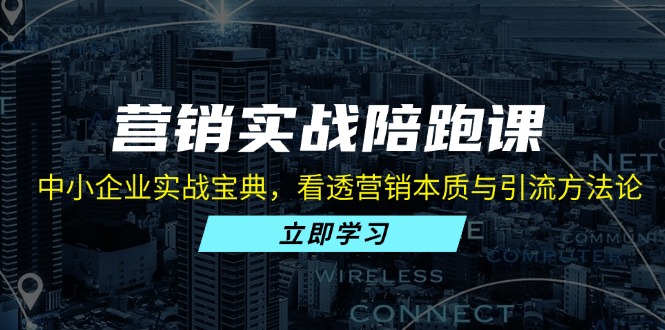 (13146期）营销实战陪跑课：中小企业实战宝典，看透营销本质与引流方法论-北少网创