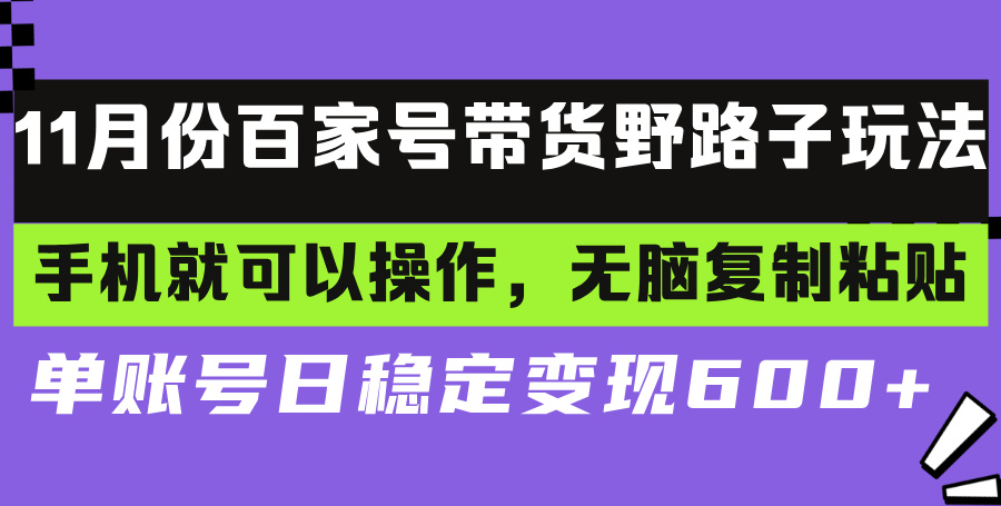 (13281期）百家号带货野路子玩法 手机就可以操作，无脑复制粘贴 单账号日稳定变现...-北少网创