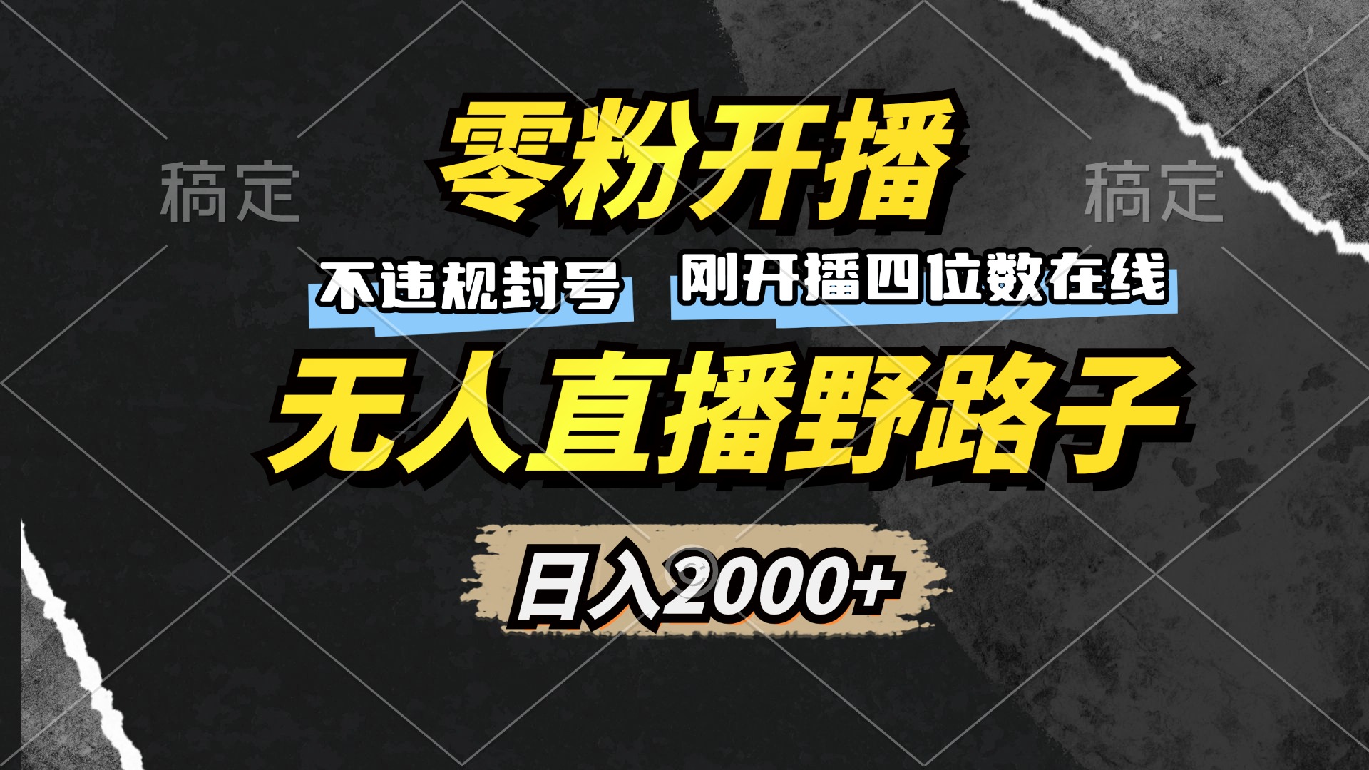 (13292期）零粉开播，无人直播野路子，日入2000+，不违规封号，躺赚收益！-北少网创