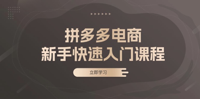 拼多多电商新手快速入门课程：涵盖基础、实战与选款，助力小白轻松上手_酷乐网