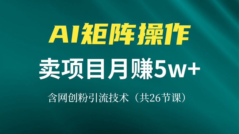 (13335期）网创IP打造课，借助AI卖项目月赚5万+，含引流技术（共26节课）-北少网创