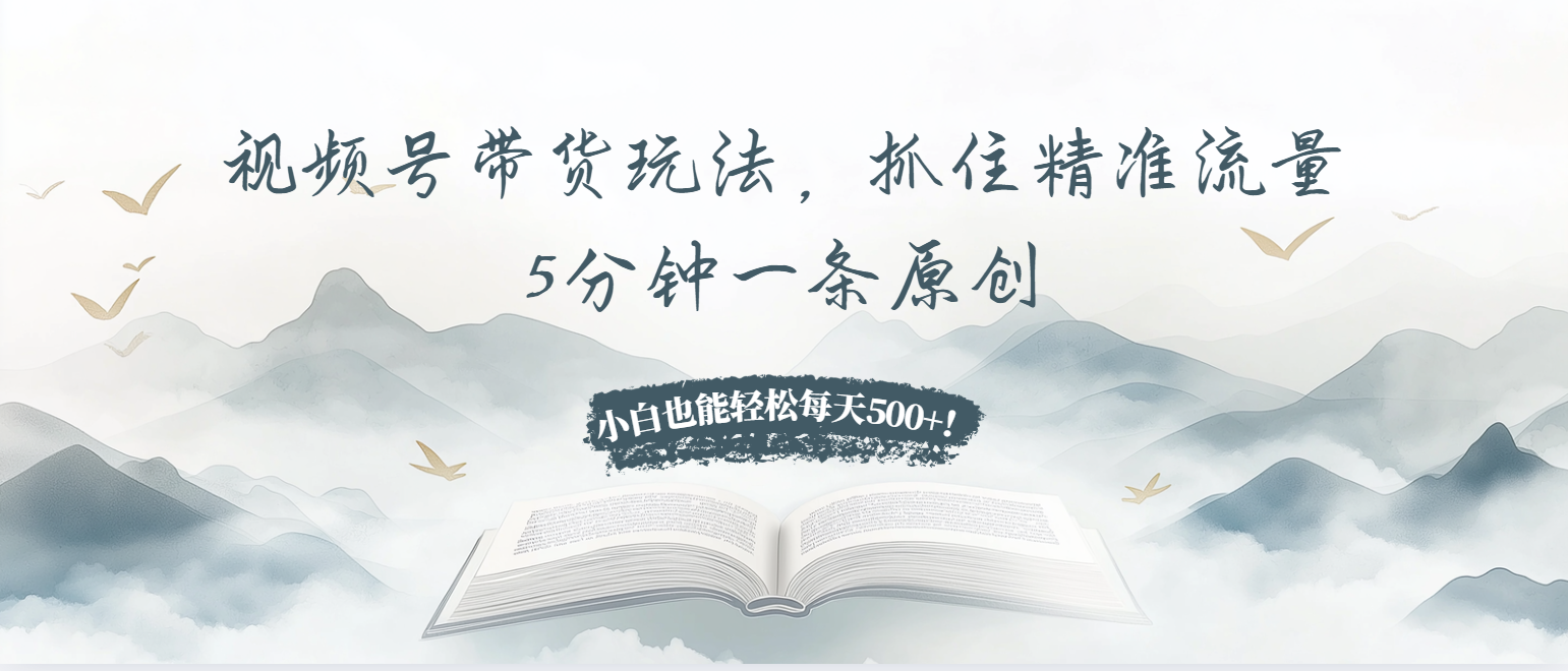 (13492期）视频号带货玩法，抓住精准流量，5分钟一条原创，小白也能轻松每天500+！-北少网创