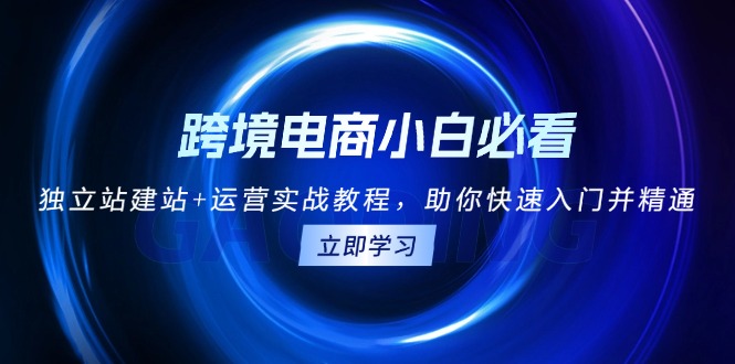 (13503期）跨境电商小白必看！独立站建站+运营实战教程，助你快速入门并精通-北少网创