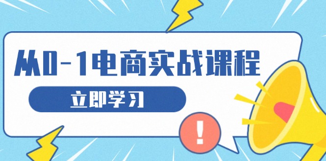 (13594期）从零做电商实战课程，教你如何获取访客、选品布局，搭建基础运营团队-北少网创