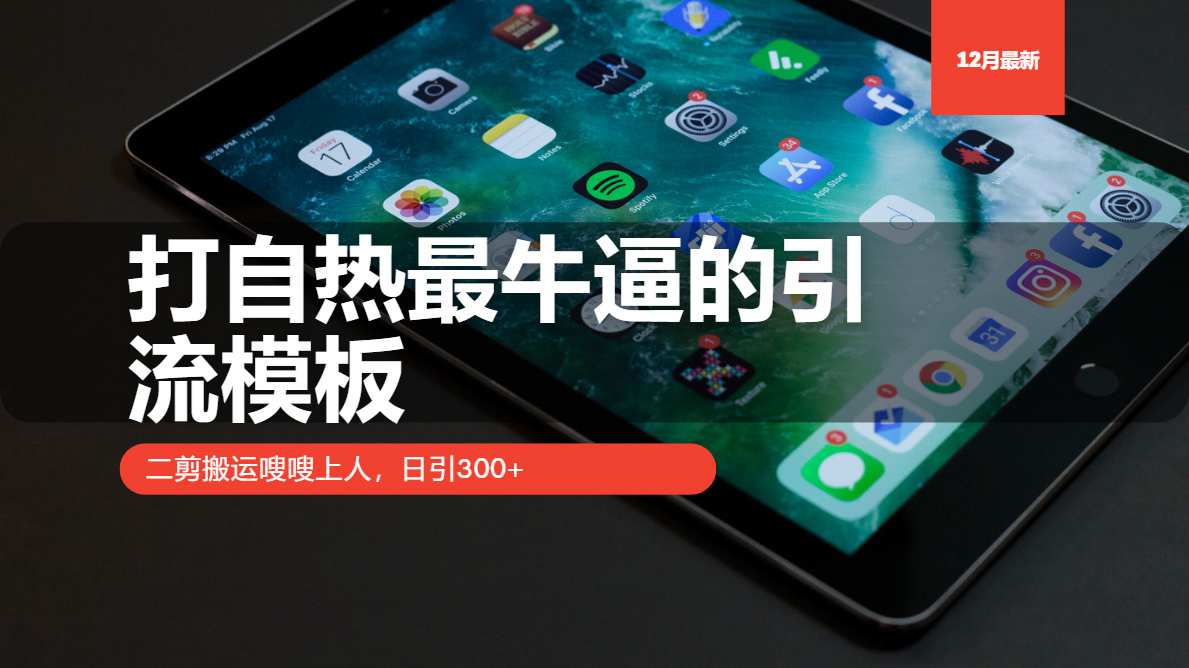 (13654期）打自热最牛逼的引流模板，二剪搬运嗖嗖上人，日引300+-北少网创