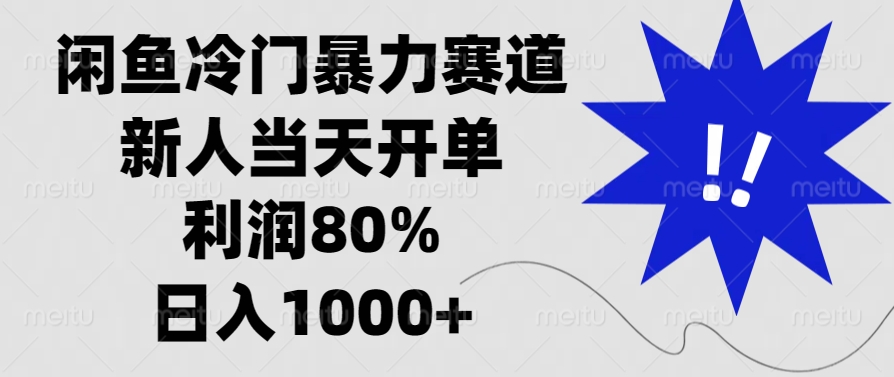 （13660期）闲鱼冷门暴力赛道，新人当天开单，利润80%，日入1000+-小白项目网