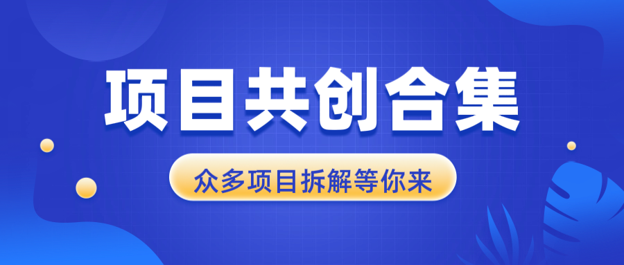 项目共创合集，从0-1全过程拆解，让你迅速找到适合自已的项目_酷乐网