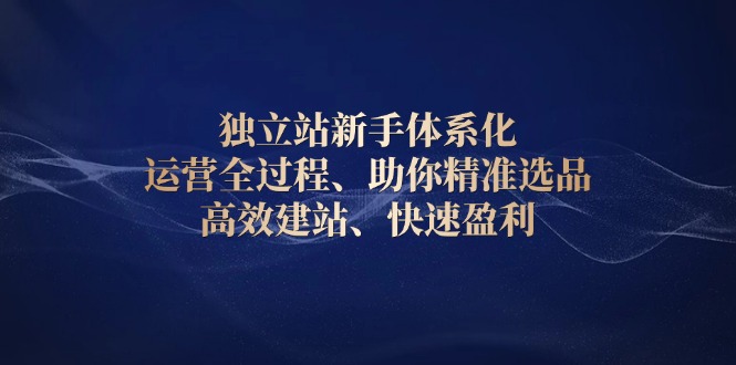 独立站新手体系化 运营全过程，助你精准选品、高效建站、快速盈利_酷乐网