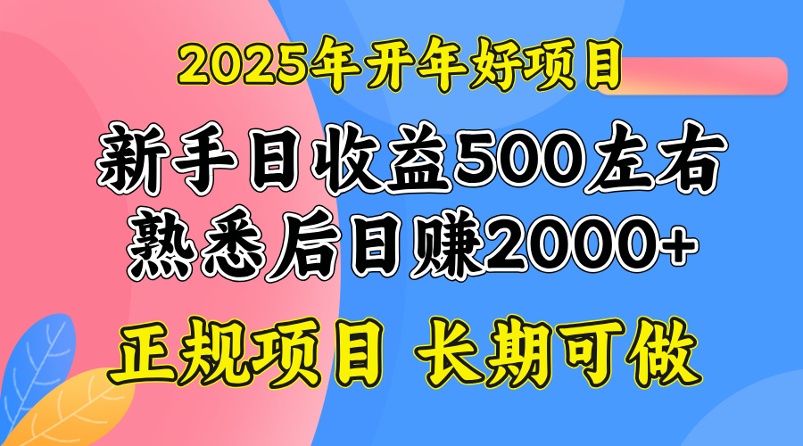 2025开年好项目，单号日收益2000左右_酷乐网