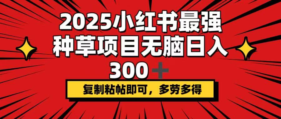 (14375期）2025小红书最强种草项目，无脑日入300+，复制粘帖即可，多劳多得-北少网创