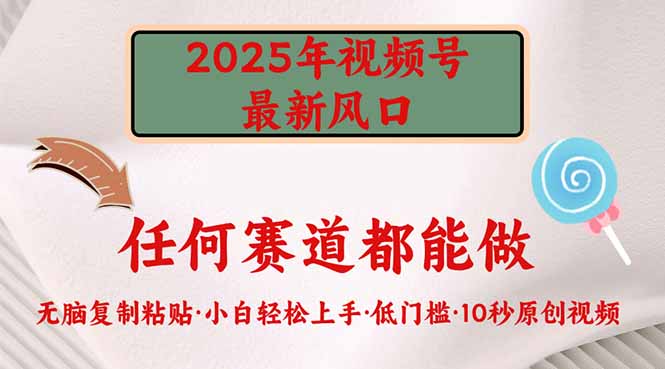 (14453期）2025年视频号新风口，低门槛只需要无脑执行-北少网创